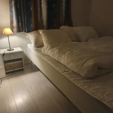 Nice, Cozy Apartment- Close To Everything *