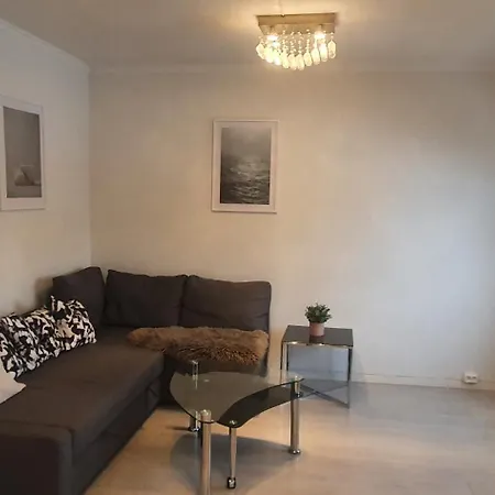 Nice, Cozy Apartment- Close To Everything דירה טרונדהיים